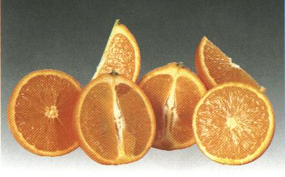 valancia late..........